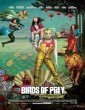 Birds of Prey (2020) Hindi Dubbed